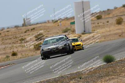 media/May-03-2025-Lucky Dog Racing (Sat) [[206de64b9d]]/Turn 6 (150pm-230pm)/